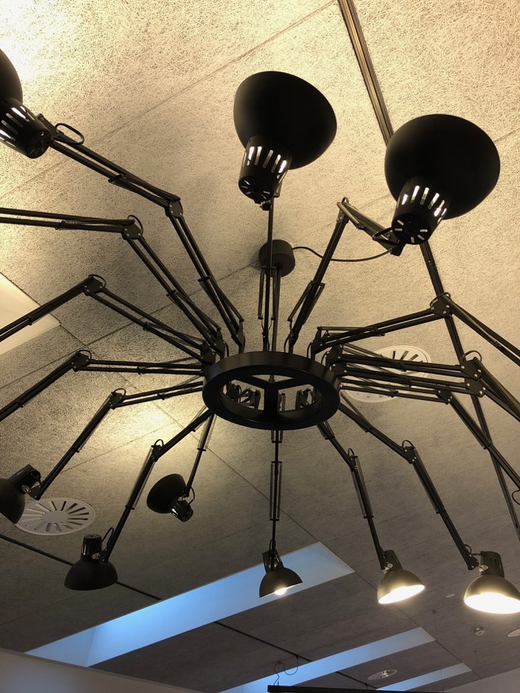 creative zoos kontor er indrettet med design møbler, der fanger øjet