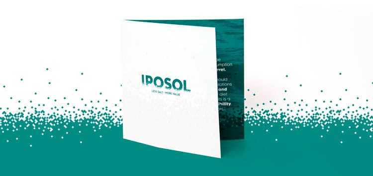 IPSOL har blandt andet fået en nyt brochure, der matcher deres nye visuelle identitet. 