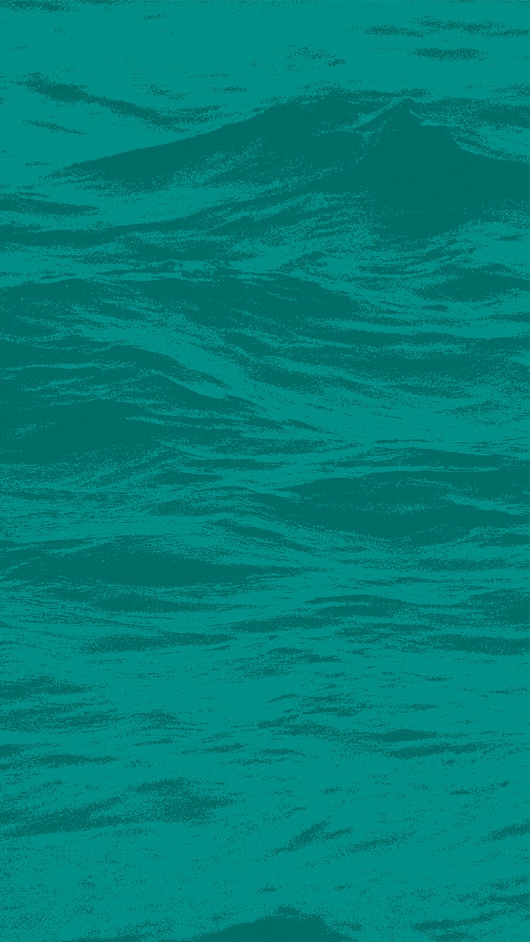 Creative ZOO har designet ny visuel identitet til virksomheden IPOSOL 