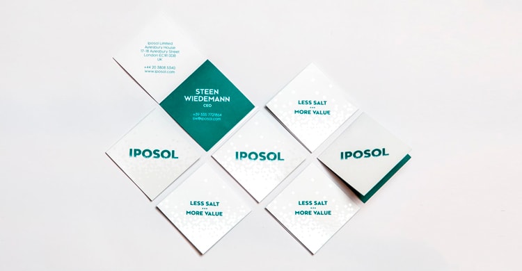 IPSOLs hjemmeside har også fået en makeover af Creative ZOO