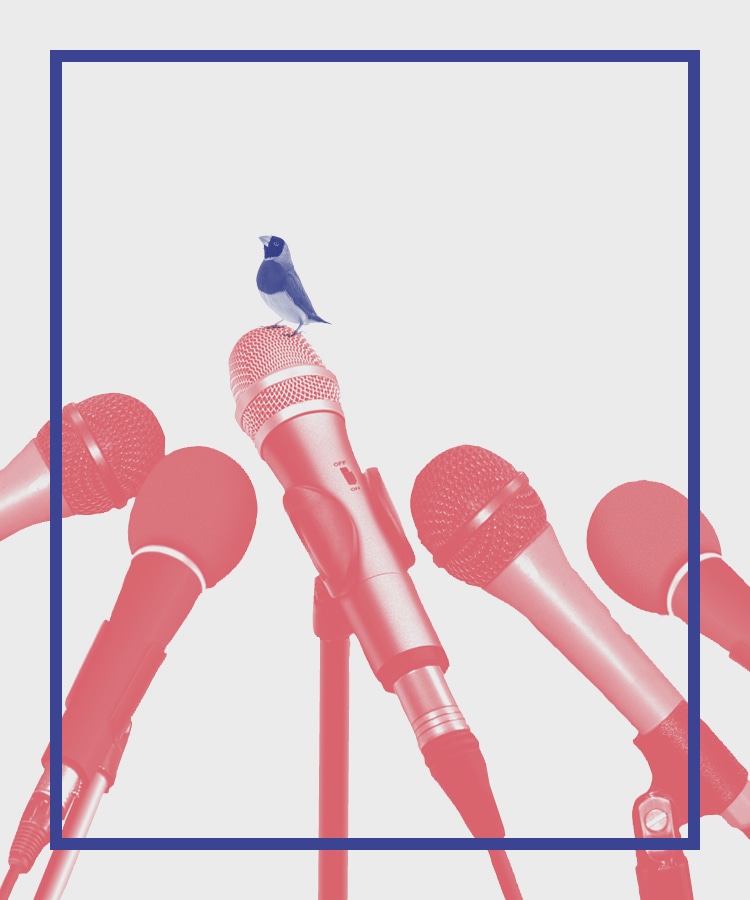 Creative ZOO designer kommunikation