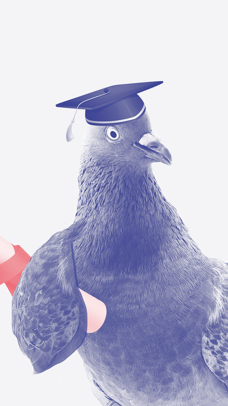 Bliv klog på de nye love indenfor GDPR. Creative ZOO guider dig igennem. 