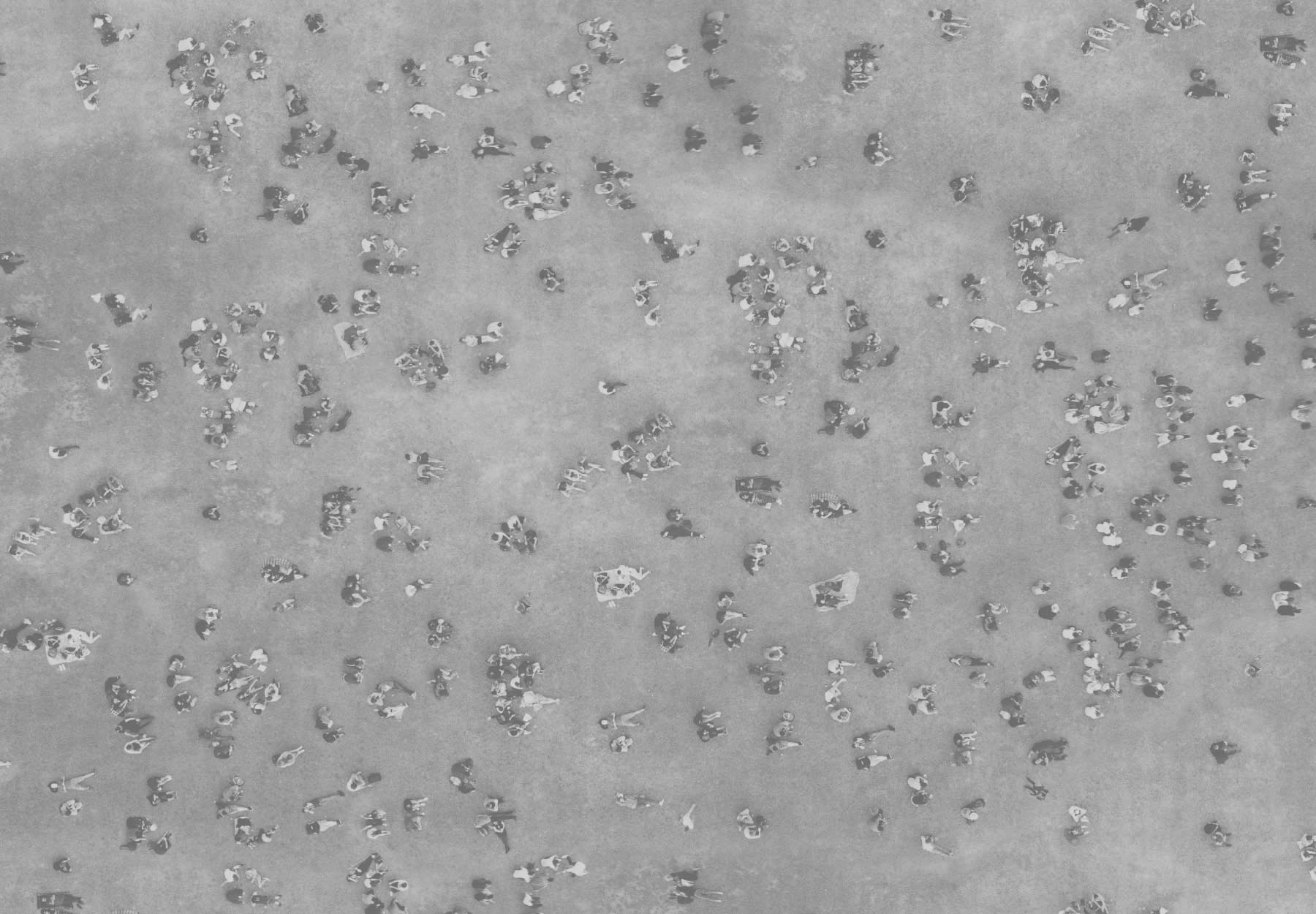 Arkitektskolen Aarhus havde brug for Creative ZOO til at få formidlet deres arbejde med kvalitetssikring af deres fem kvalitetsambitioner. 