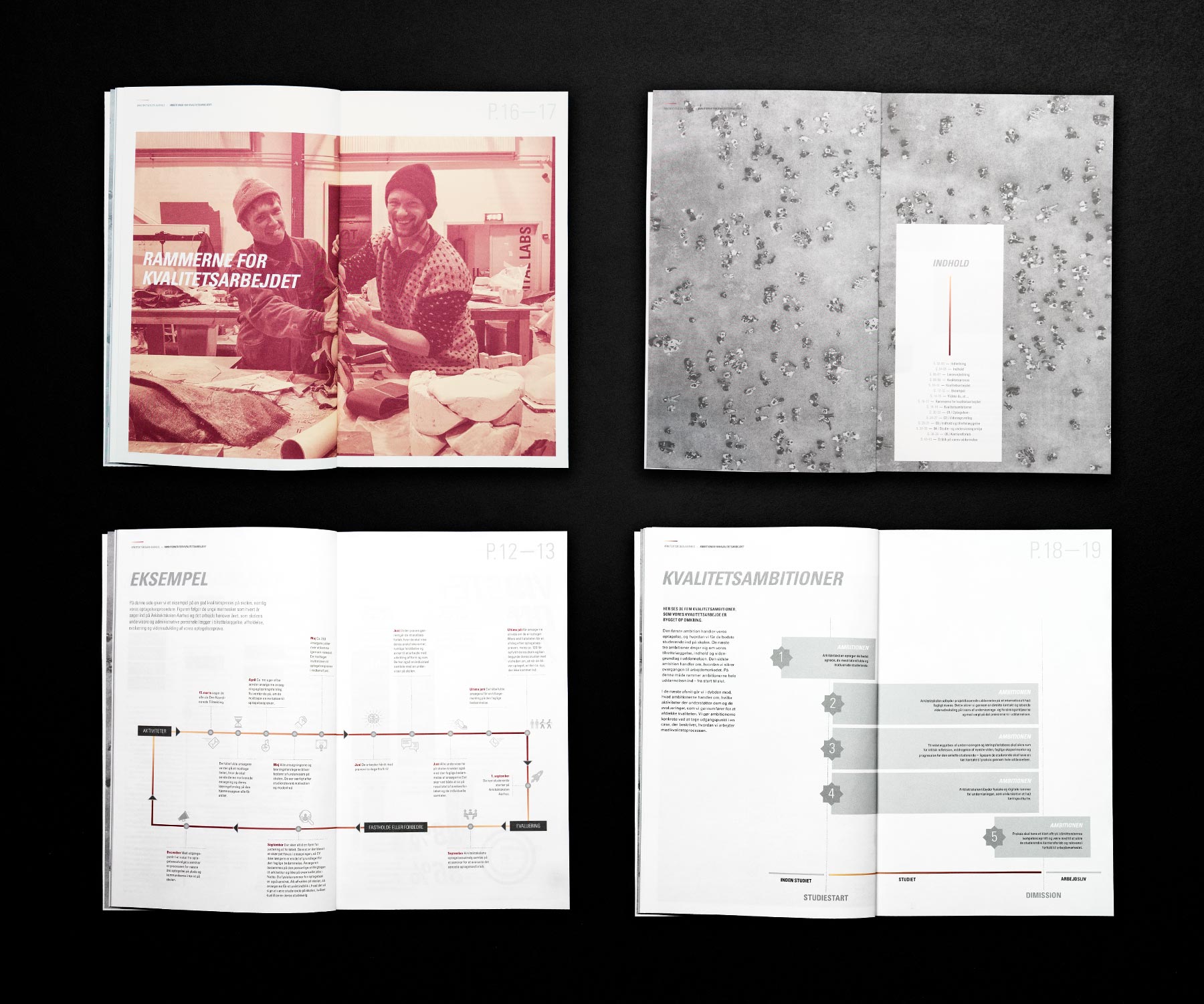 Magasinet behandler skolens visioner fra flere vinkler og niveauer. Det omhandler også skolens fremtidsudsigter og hvad man kan forvente. 