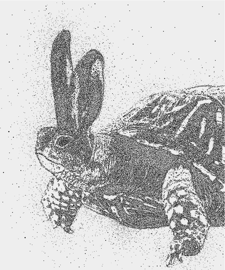 Forskellene på offentlige og private organisationer er udvisket, og som offentlig organisation kan I med fordel bruge værktøjerne fra brand- og kampagneværktøjskassen