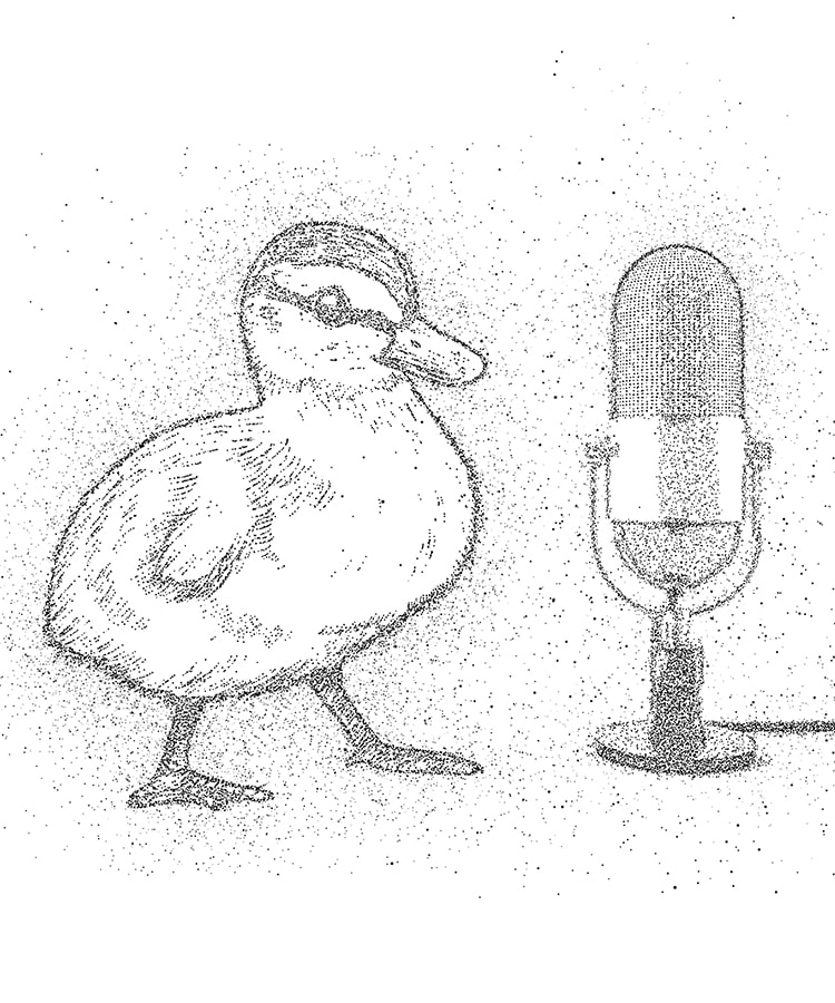 Kom tæt på fortællingen i vores podcast, hvor vi interviewer forskellige kunstnere og kommunikatører