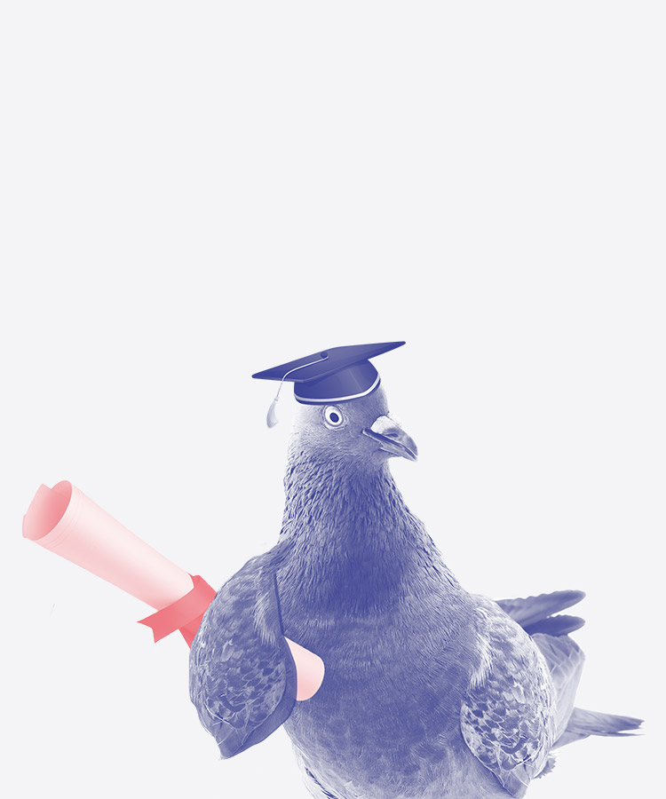 SPOT på GDPR 
– fra regler og systemer til adfærd og effekt 
SPOT på GDPR – fra regler og systemer til adfærd og effekt 
