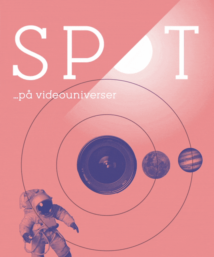 Creative ZOOs seminar om video