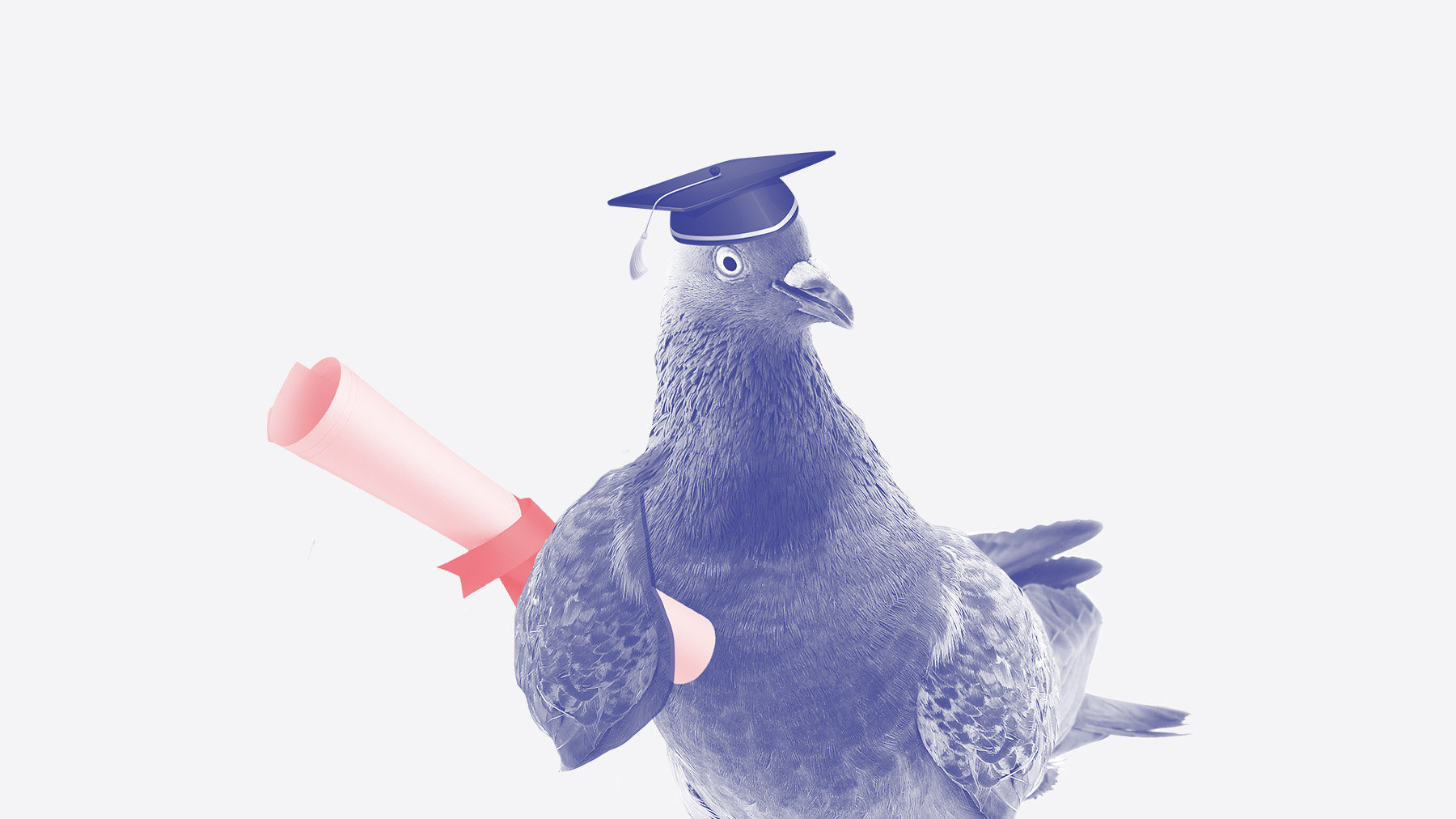 Creative ZOO sætter spot på GDPRs krav og muligheder  til et gratis miniseminar i samarbejde med REVI IT A/S