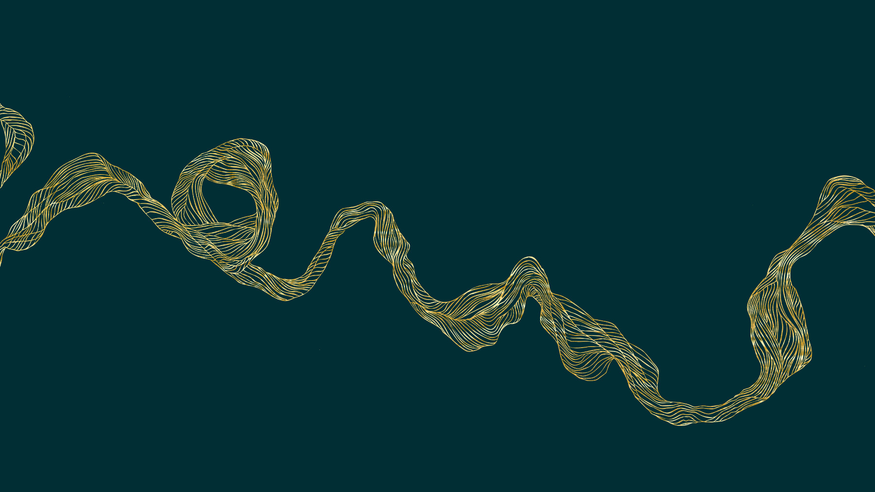 Creative ZOO har produceret en ny visuel identitet for gourmetrestauranten Ghrelin.