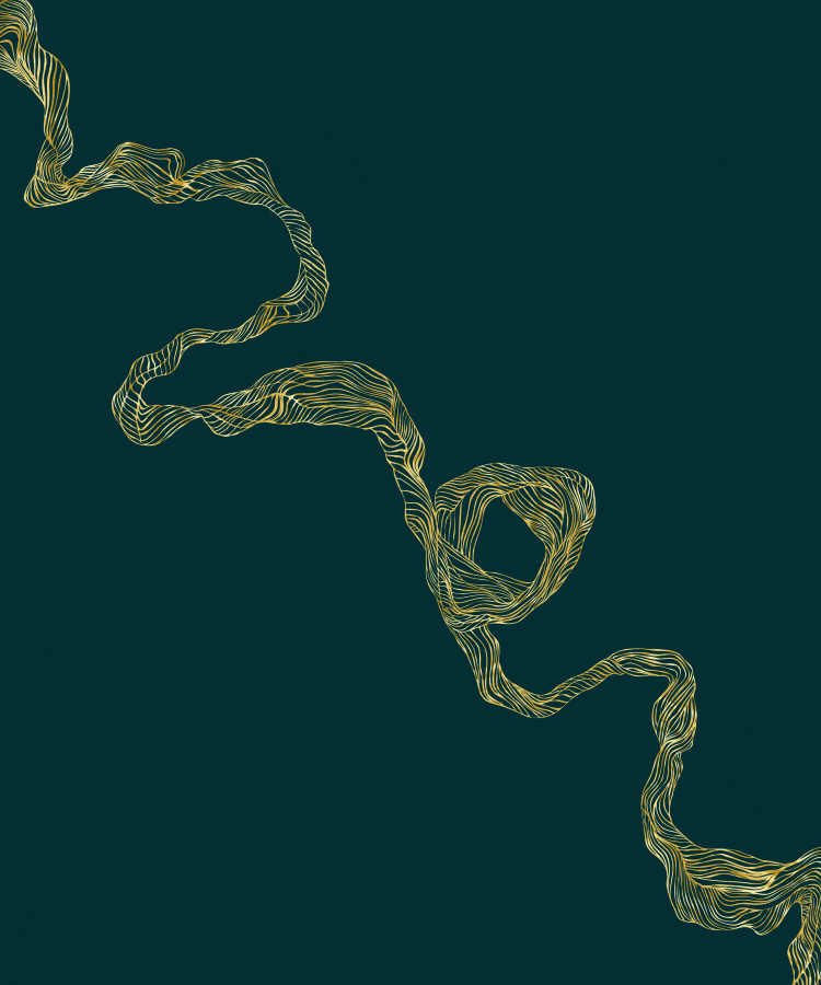 Ghrelins nye visuelle identitet trækker på inspiration fra sulthormonet af samme navns udtryk. 