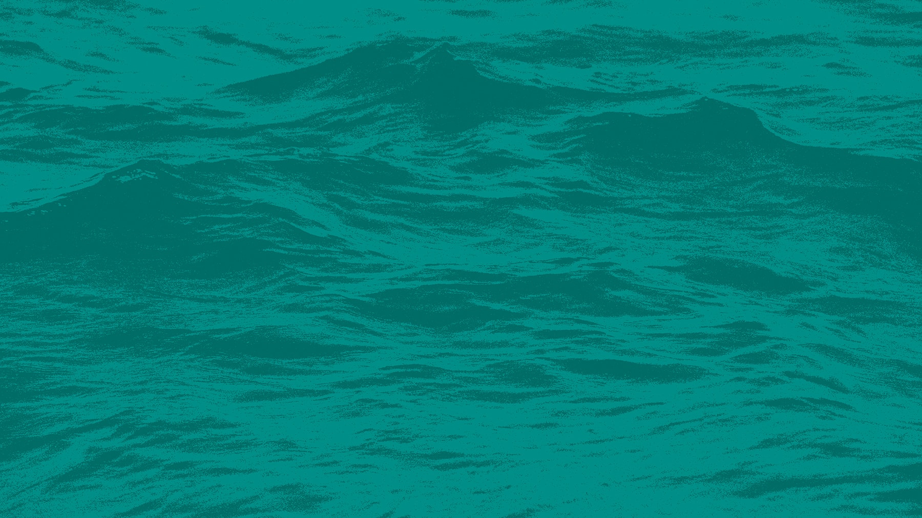 Creative ZOO har designet ny visuel identitet til virksomheden IPOSOL 